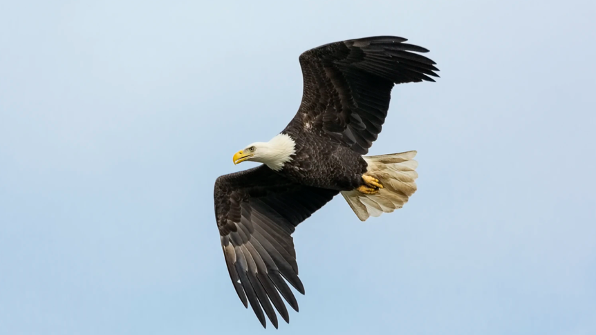 小程序內容轉化率如何提升？請做好這3點